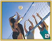 Voley